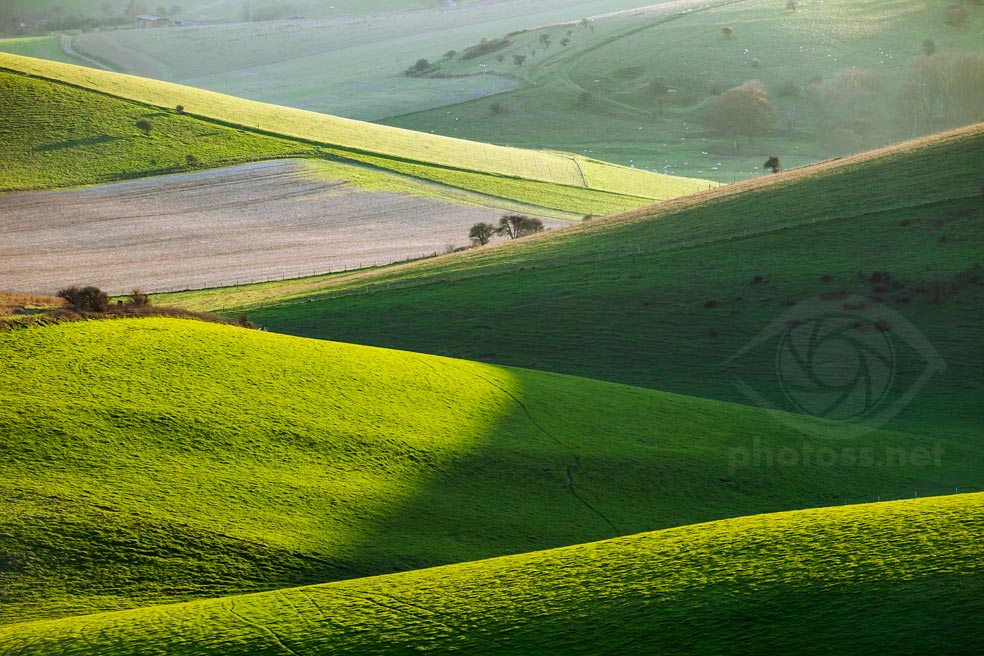 November on the South Downs