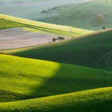 November on the South Downs